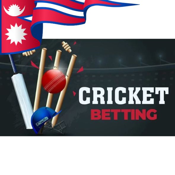 How to Be Successful in Cricket Betting?